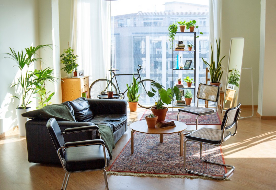 living room essentials for tenants