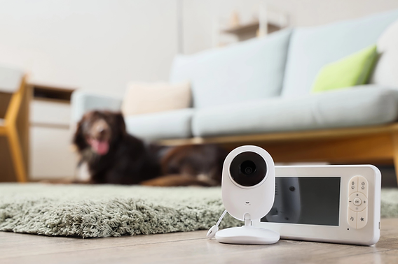 scalable rental sensor systems Scalable Rental Sensor Systems for Growing Property Managers
